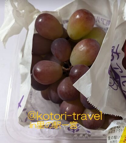 🍇小鳥おすすめの山梨・長野オリジナルの希少ぶどう🍇 ② @kotori-travel -